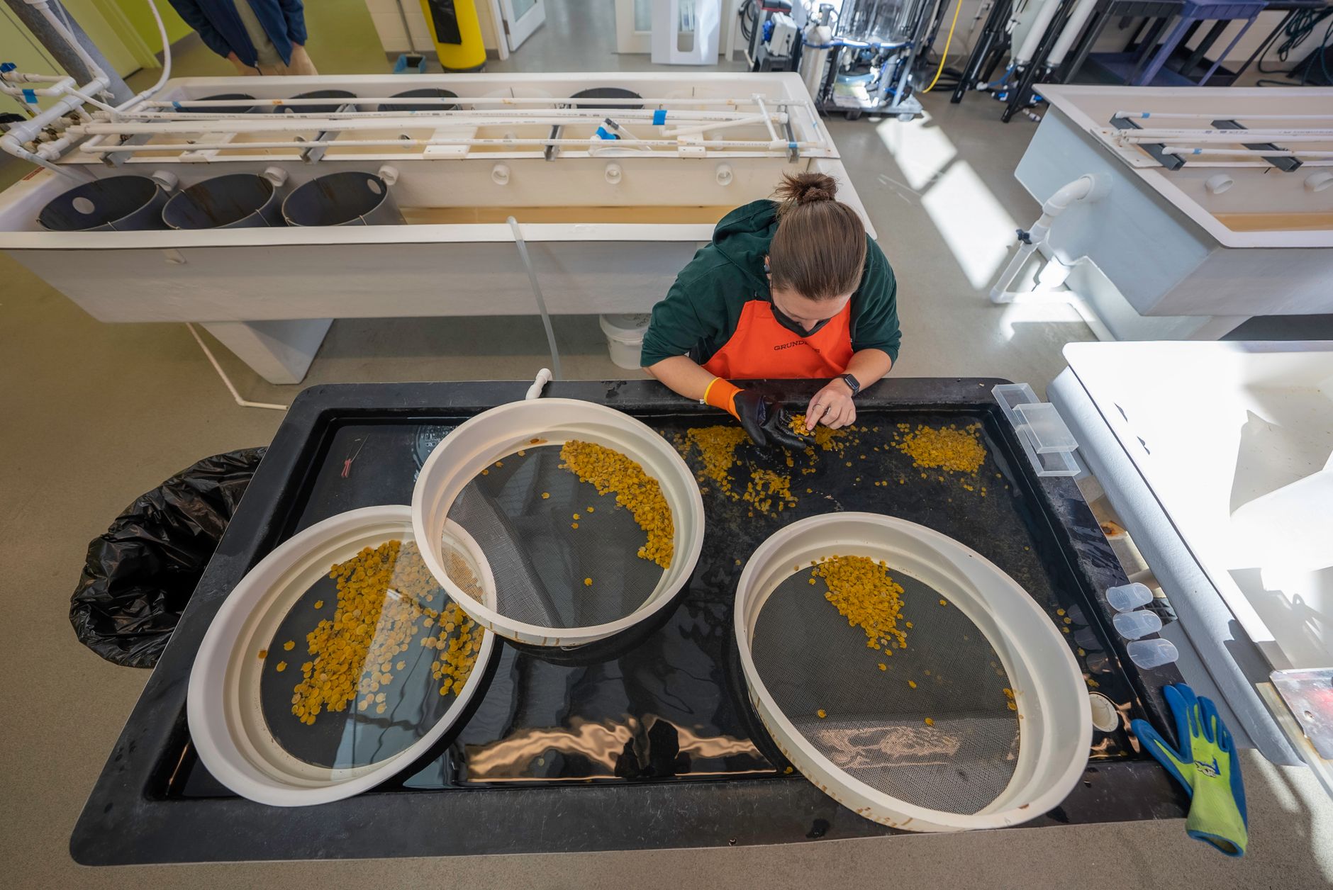 Understanding Top Dressing Sand Specs: What the Lab Numbers Mean