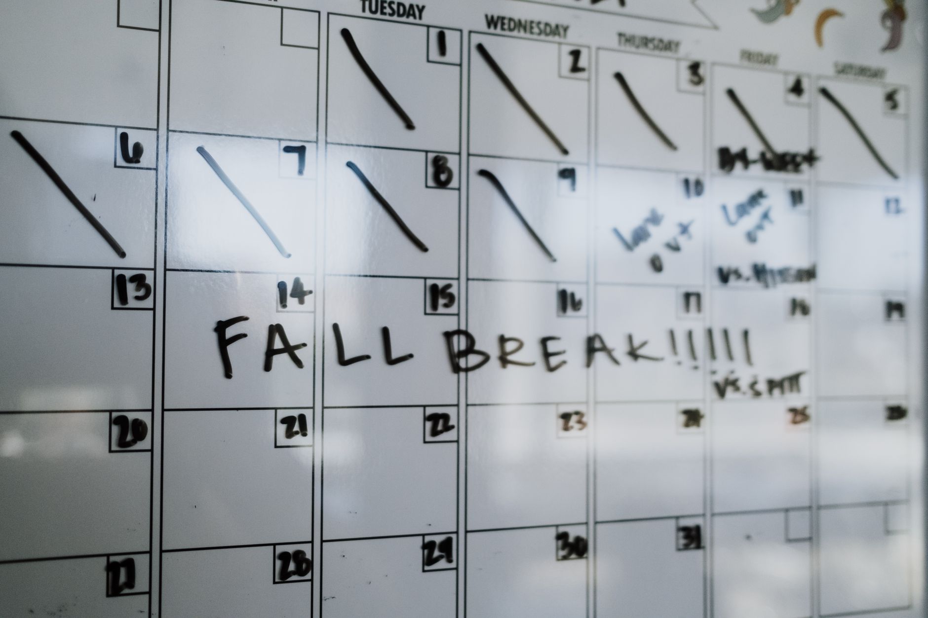 8. Building a Full-Season Top Dressing Calendar
