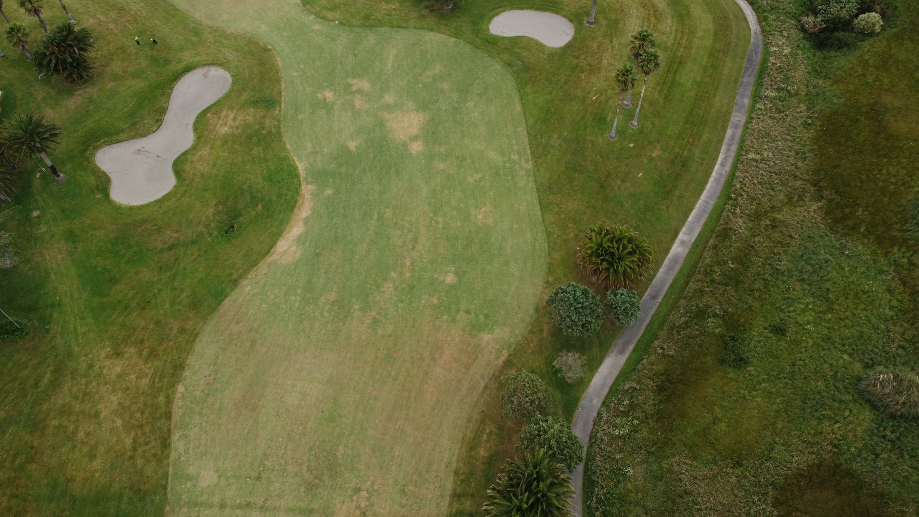 Common Top Dressing Mistakes and How to Avoid Them