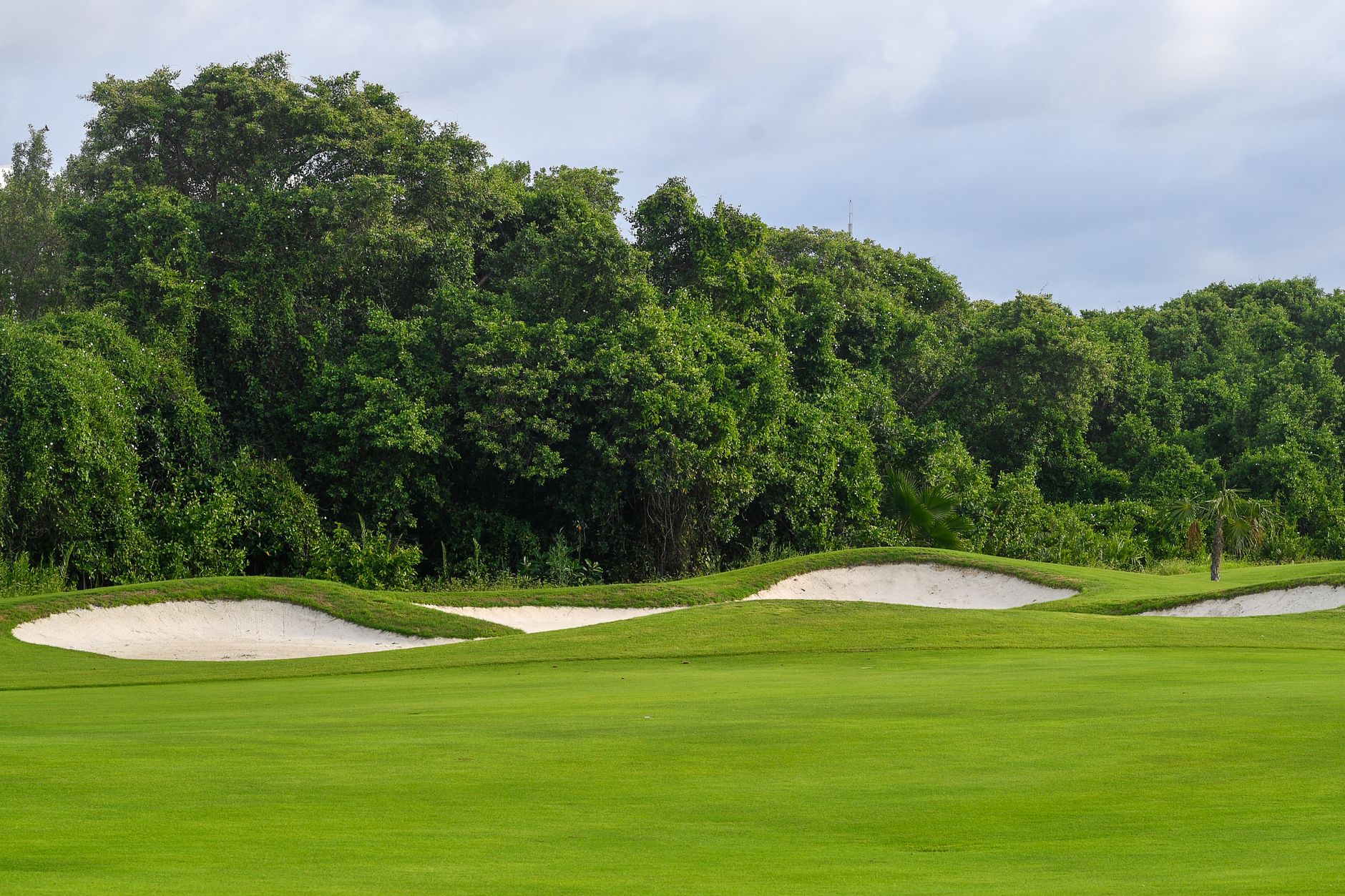 What Type of Sand Is Used in Golf Course Bunkers? Your 9-Point Guide