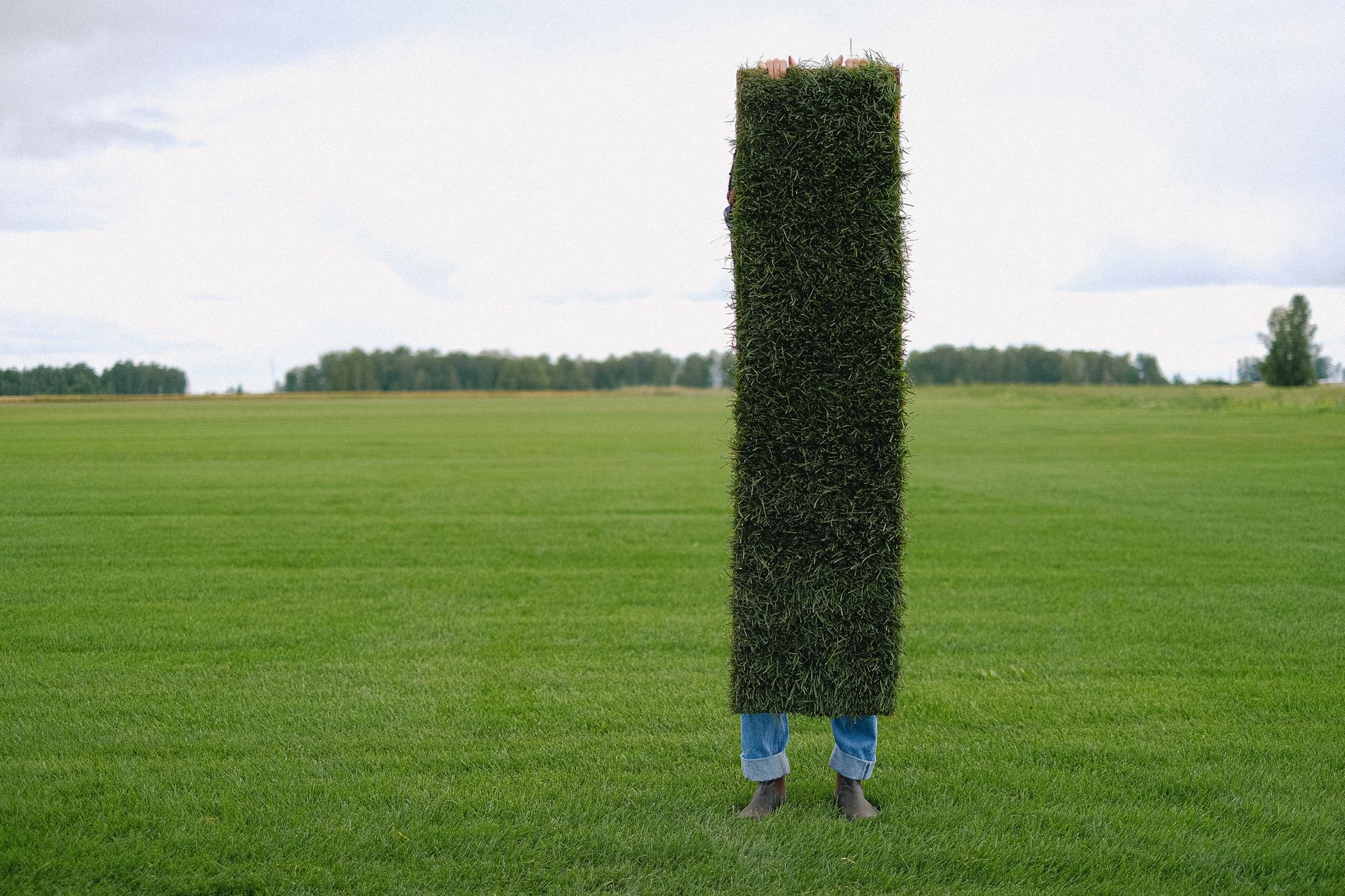4. Key Factors That Adjust Your Top Dressing Schedule
