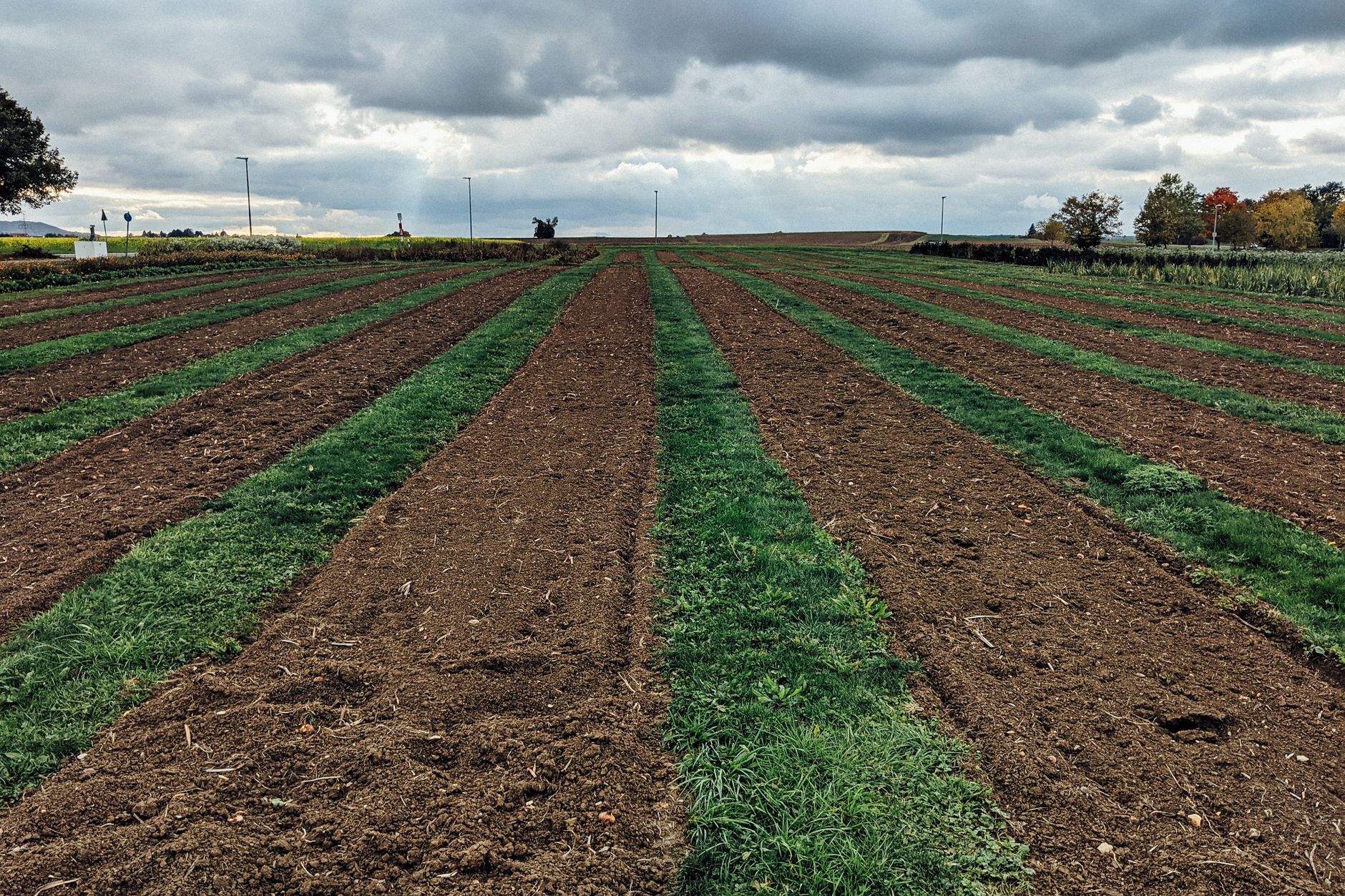 1. What Is Top Dressing Sand and Why Does It Matter?